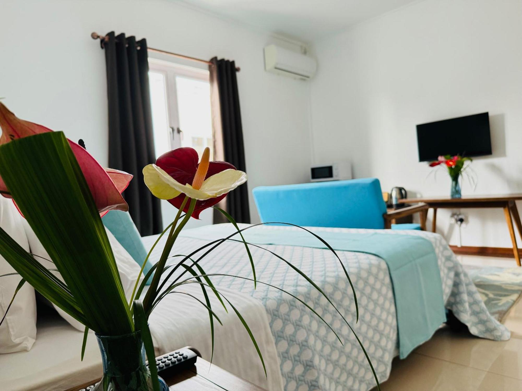 Residence Le Point Choisy ポワント・オー・カノニエ エクステリア 写真